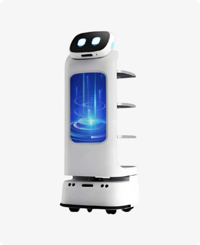 Kereskedelmi szolgáltató robot